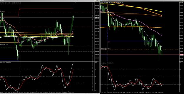 Click to Enlarge

Name: 6 gold 4.jpg
Size: 382 KB