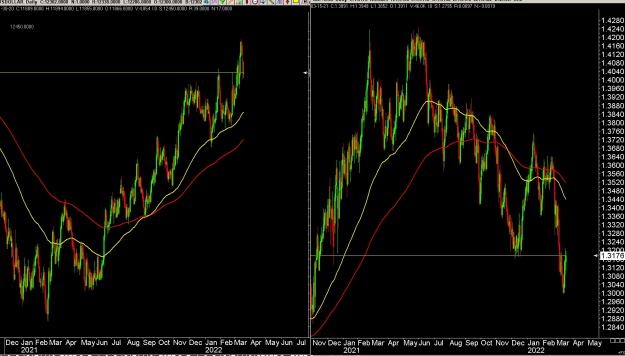Click to Enlarge

Name: 6 gold 2.jpg
Size: 338 KB