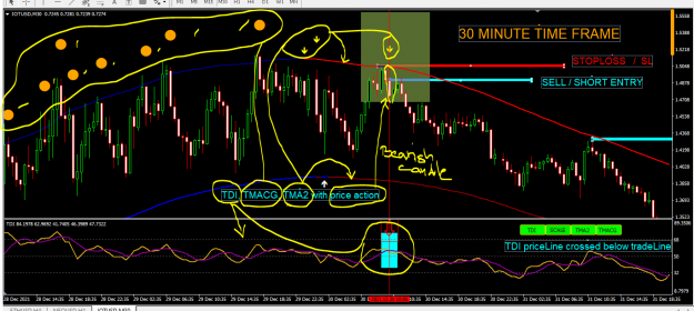 Click to Enlarge

Name: TDI TMA2 TMACG with price action.PNG
Size: 98 KB
