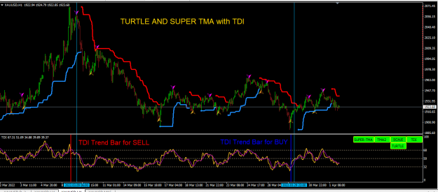 Click to Enlarge

Name: TURTLE TDI SUPER TMA.PNG
Size: 52 KB