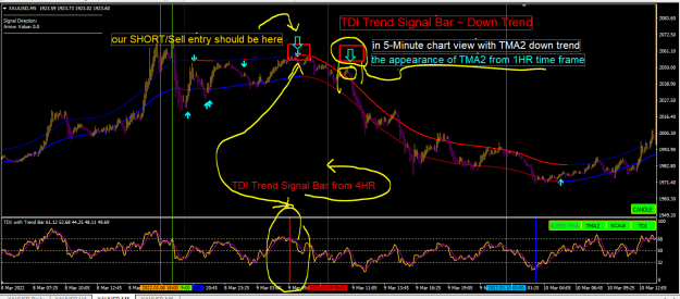Click to Enlarge

Name: TDI BAR from diff TF3.PNG
Size: 74 KB