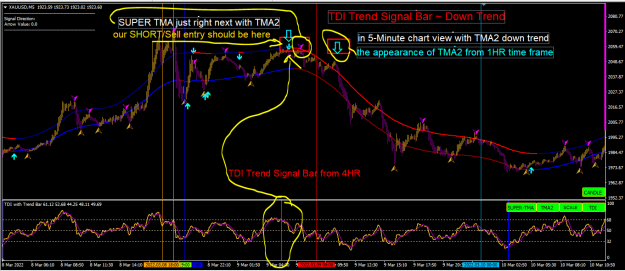 Click to Enlarge

Name: TDI BAR from diff TF4.PNG
Size: 78 KB