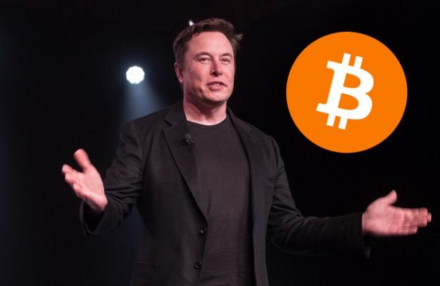 Click to Enlarge

Name: elon 2.jpg
Size: 28 KB