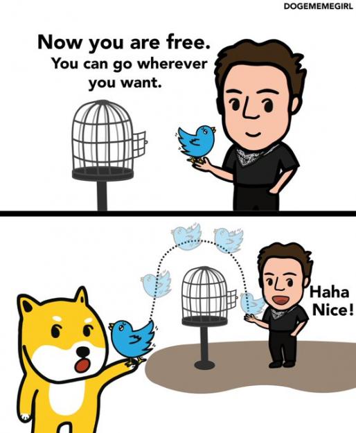 Click to Enlarge

Name: elon 5.jpg
Size: 57 KB
