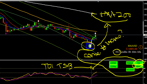 Click to Enlarge

Name: TDI SEMA and TMA2 et al3.PNG
Size: 42 KB