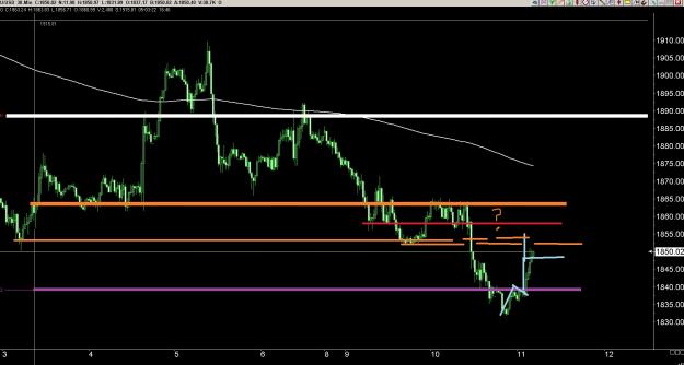 Click to Enlarge

Name: 6 gold 3.jpg
Size: 224 KB