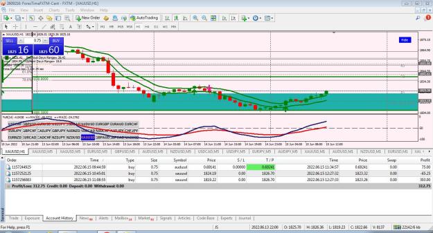 Click to Enlarge

Name: Trade 13 Closed.JPG
Size: 219 KB