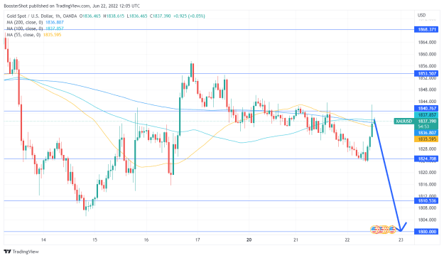 Click to Enlarge

Name: XAUUSD_2022-06-22_08-05-06.png
Size: 41 KB