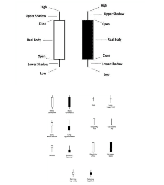 Click to Enlarge

Name: Screen Shot 2022-06-28 at 04.09.43.png
Size: 32 KB