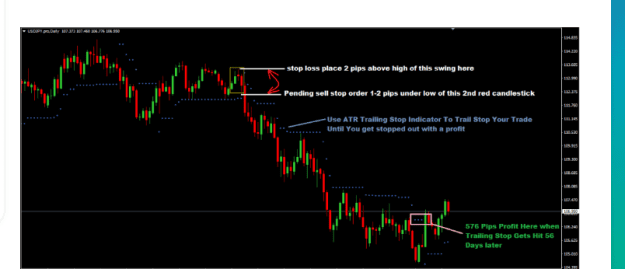Click to Enlarge

Name: BR7 HEDGE SWING.PNG
Size: 21 KB