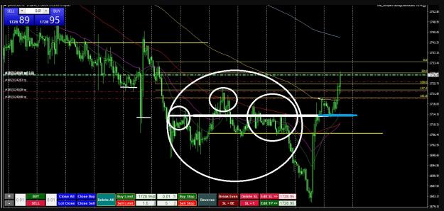 Click to Enlarge

Name: 6 gold 3.jpg
Size: 280 KB