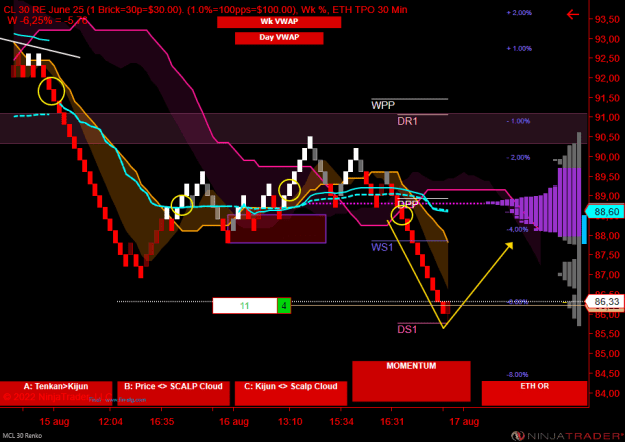 Click to Enlarge

Name: MCL 09-22 (30 Renko) 2022_08_16 (20_21_51).png
Size: 29 KB