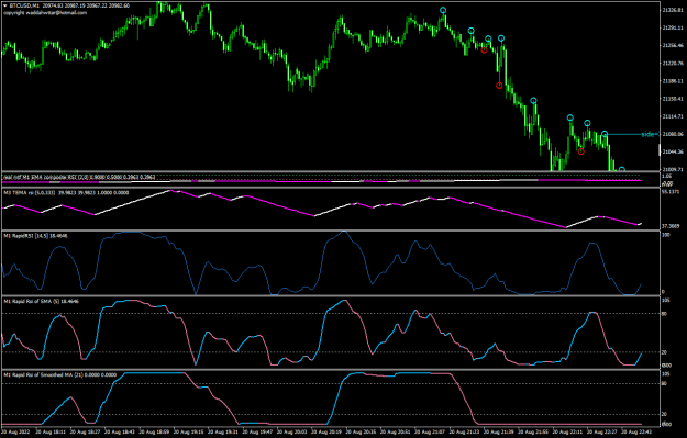 Click to Enlarge

Name: BTCUSDM1.png
Size: 25 KB