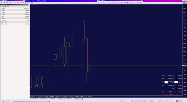 Click to Enlarge

Name: FiboPivotCandleBar(1)_22-08-2022_cad.png
Size: 32 KB