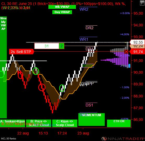 Click to Enlarge

Name: MCL 10-22 (30 Renko) 2022_08_23 (15_20_40).png
Size: 19 KB