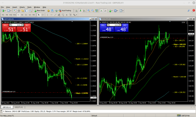 Click to Enlarge

Name: MetaTrader 4 IC Markets.png
Size: 47 KB