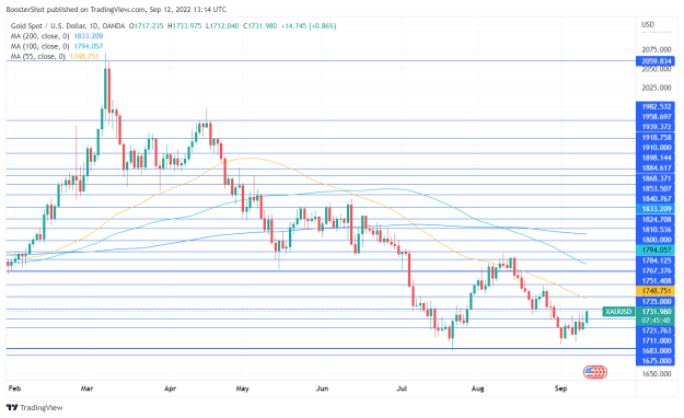 Click to Enlarge

Name: XAUUSD_2022-09-12_09-14-12.png
Size: 39 KB