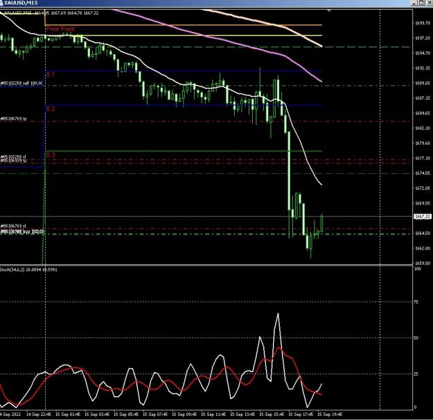 Click to Enlarge

Name: 6 gold 3.jpg
Size: 201 KB