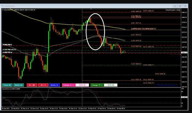 Click to Enlarge

Name: 6 gold.jpg
Size: 258 KB