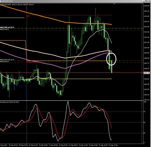 Click to Enlarge

Name: 6 gold 2.jpg
Size: 213 KB