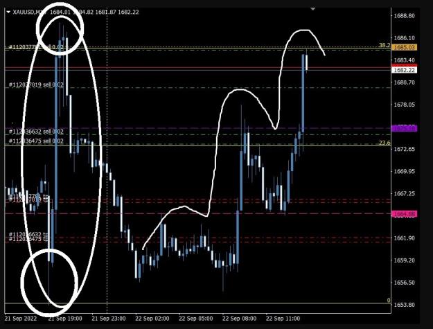 Click to Enlarge

Name: 6 gold 2.jpg
Size: 171 KB
