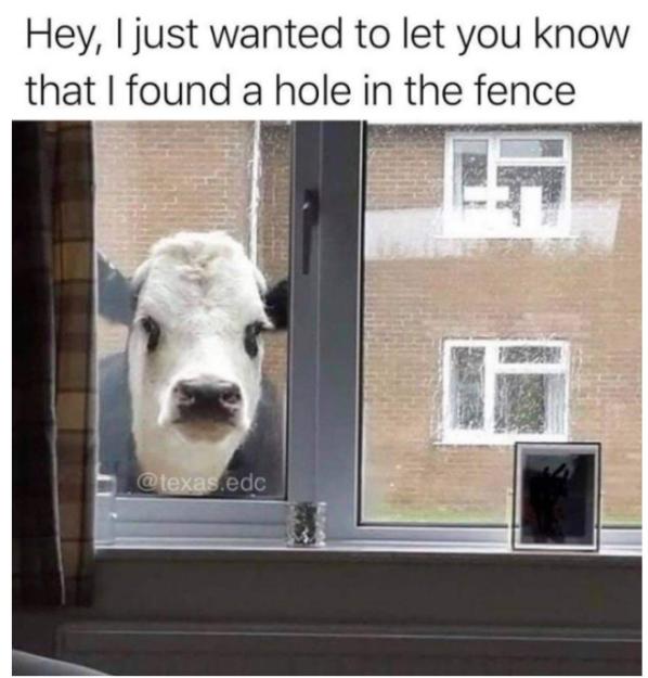 Click to Enlarge

Name: hole in the fence.jpg
Size: 107 KB
