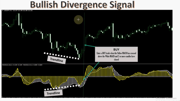 Click to Enlarge

Name: Bullish divergence signal 6.png
Size: 143 KB