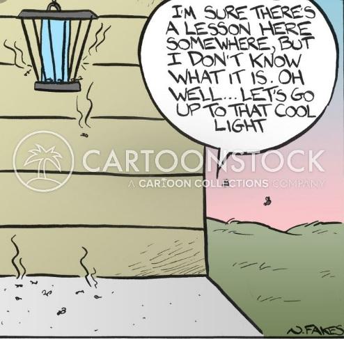 Click to Enlarge

Name: 6 gold.jpg
Size: 79 KB