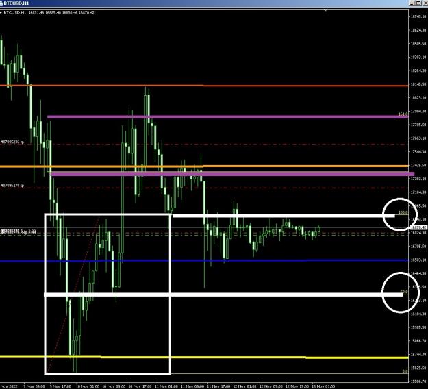 Click to Enlarge

Name: 6 gold.jpg
Size: 184 KB
