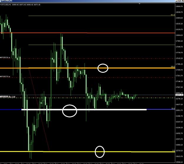 Click to Enlarge

Name: 6 gold 1.jpg
Size: 158 KB