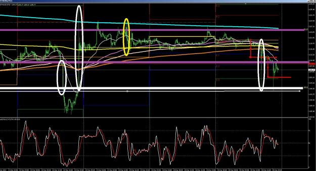 Click to Enlarge

Name: 6 gold 4.jpg
Size: 435 KB