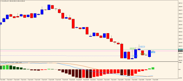 Click to Enlarge

Name: XAUUSD.aM1.png
Size: 14 KB
