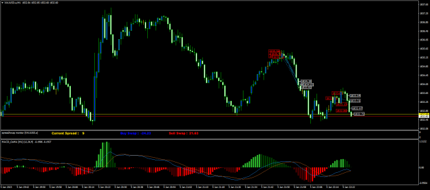 Click to Enlarge

Name: XAUUSD.aM1.png
Size: 23 KB