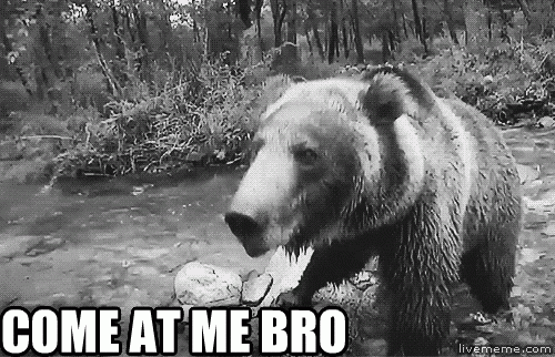 Click to Enlarge

Name: bearmad.gif
Size: 692 KB