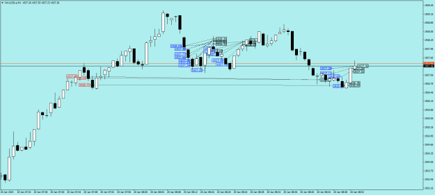 Click to Enlarge

Name: XAUUSD.aM1.png
Size: 17 KB