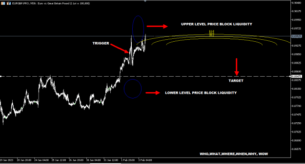 Click to Enlarge

Name: EURGBP FEB3.PNG
Size: 11 KB