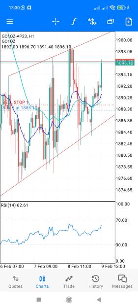 Click to Enlarge

Name: Screenshot_2023-02-09-13-30-33-320_net.metaquotes.metatrader5.jpg
Size: 659 KB
