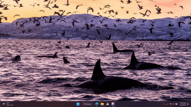 Click to Enlarge

Name: 03.03.2023.png
Size: 1.2 MB