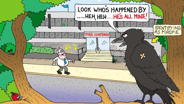 Click to Enlarge

Name: magpie.jpeg
Size: 150 KB