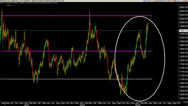 Click to Enlarge

Name: 6 gold 2.jpg
Size: 292 KB