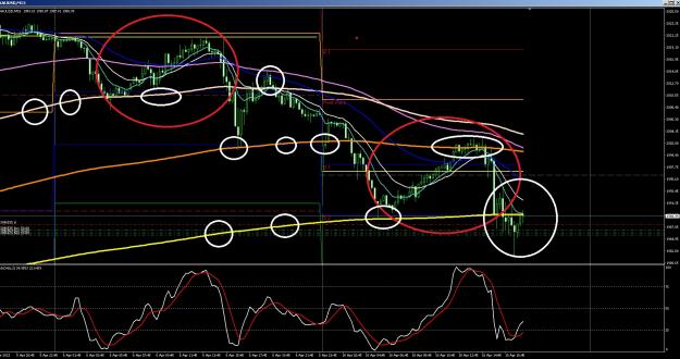 Click to Enlarge

Name: 6 gold 4.jpg
Size: 430 KB
