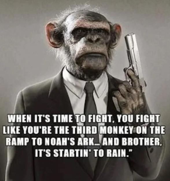 Click to Enlarge

Name: fight.jpg
Size: 98 KB