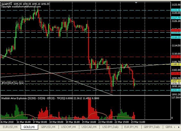 Click to Enlarge

Name: gold-mh1.JPG
Size: 83 KB