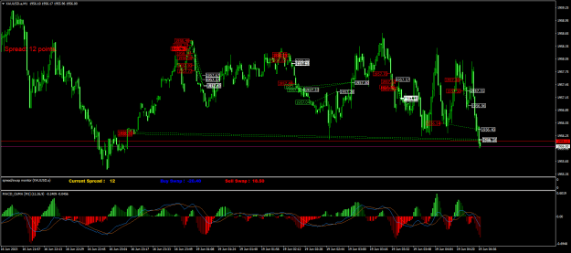 Click to Enlarge

Name: XAUUSD.aM1.png
Size: 31 KB