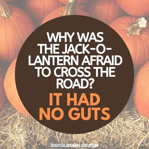 Click to Enlarge

Name: no-gut-pumpkin-joke.jpg
Size: 81 KB