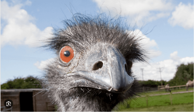 Click to Enlarge

Name: 2023-08-17_19h17_16.png
Size: 177 KB