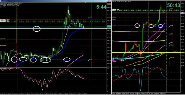 Click to Enlarge

Name: 6 gold 1.jpg
Size: 486 KB