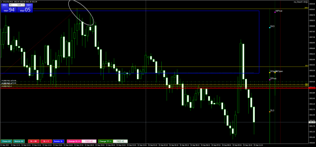 Click to Enlarge

Name: XAUUSDM15.png
Size: 26 KB