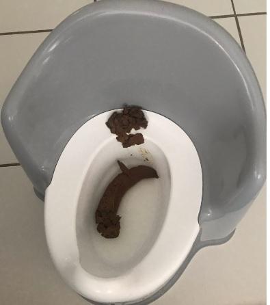 Click to Enlarge

Name: poop.jpg
Size: 66 KB