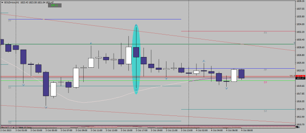 Click to Enlarge

Name: goldmicro-h1-xm-global-limited 04 10 0 b.png
Size: 13 KB